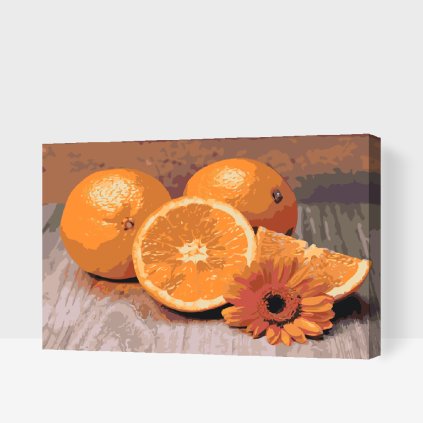 Paint by Number - Citrus Fruits, Orange