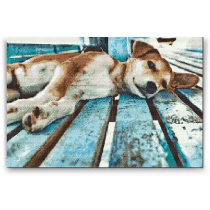 Diamond Painting - Lazy Dog