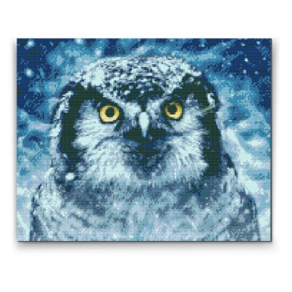 Diamond Painting - Owl