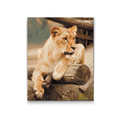 Diamond Painting - Lion