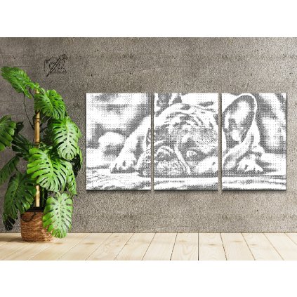 Dotting points - Adorable Bulldog (set of 3)