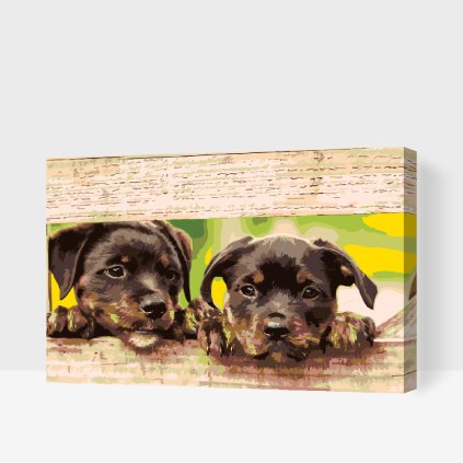 Paint by Number - Puppies