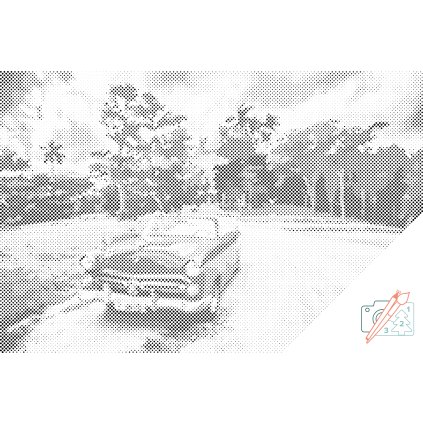 Dotting points - Ride in Cabriolet