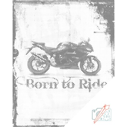 Dotting points - Born to Ride