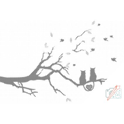 Dotting points - Cat Love