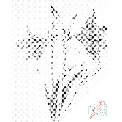 Dotting points - Vintage Lilies