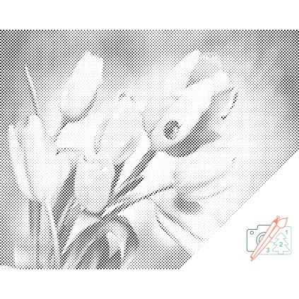 Dotting points - Tulips and Ladybug