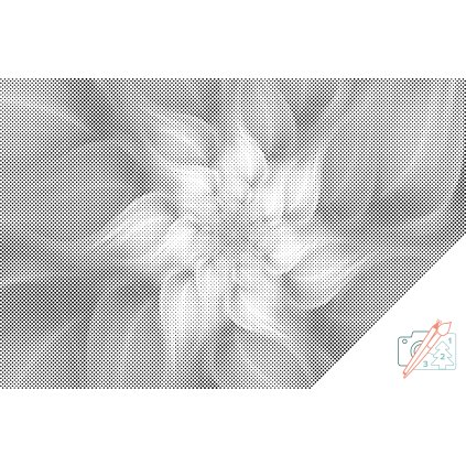 Dotting points - Levander Flower