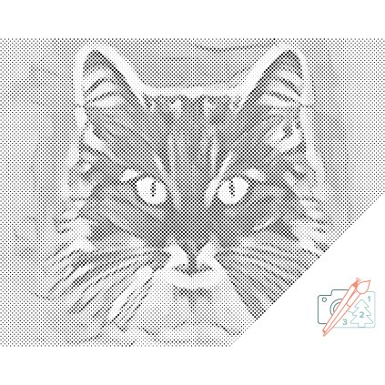 Dotting points - The cat's stare 2