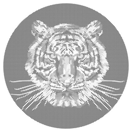 Dotting points - Tiger with a black background
