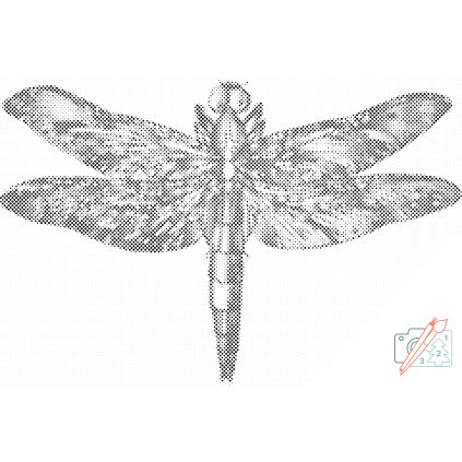 Dotting points - Dragonfly