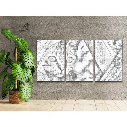 Dotting points - Watchful Kitten (set of 3)