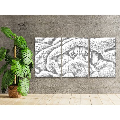 Dotting points - Puppy Eyes (set of 3)