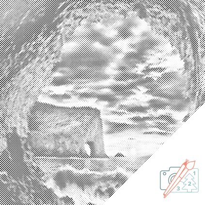 Dotting points - Sea Cave