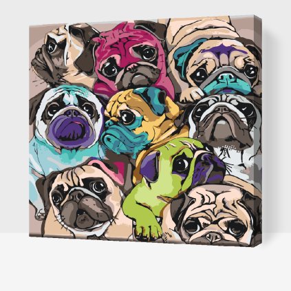 Paint by Number - Pugs