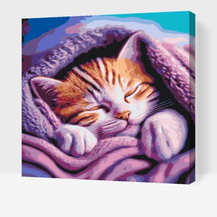 Paint by Number - Kitten under cover