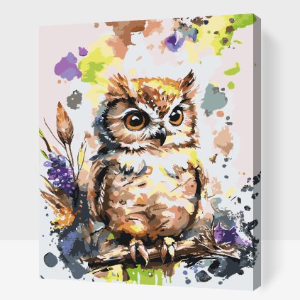 Paint by Number - Owlet on a colourful backdrop