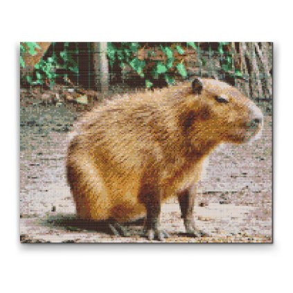 Diamond Painting - Capybara 