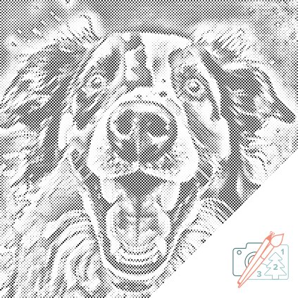 Dotting points - Cheerfully playful doggy