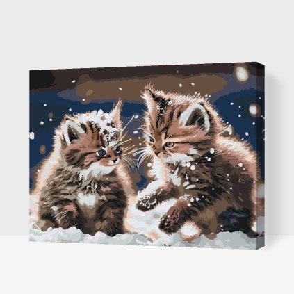 Paint by Number - Kittens in the snow 