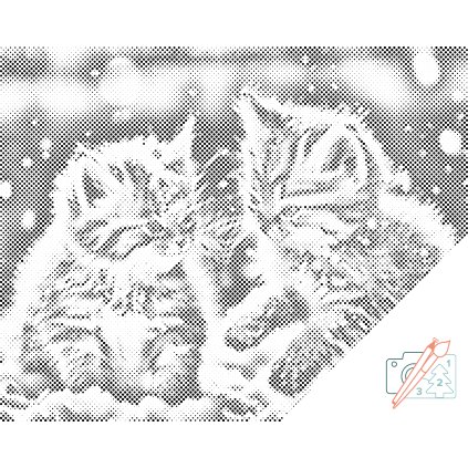 Dotting points - Kittens in the snow 