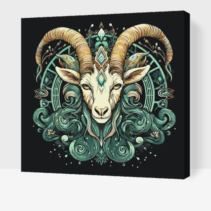 Malování podle čísel - Kozoroh/Capricornus