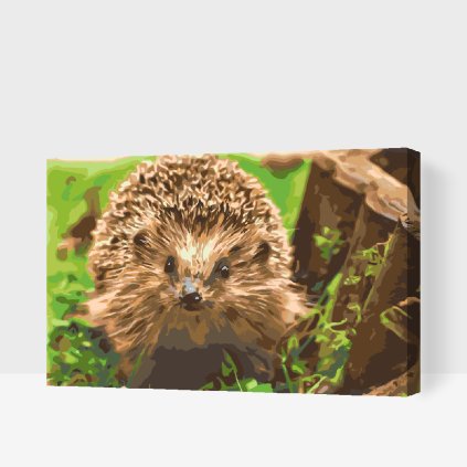 Paint by Number - Hedgehog Night Creature