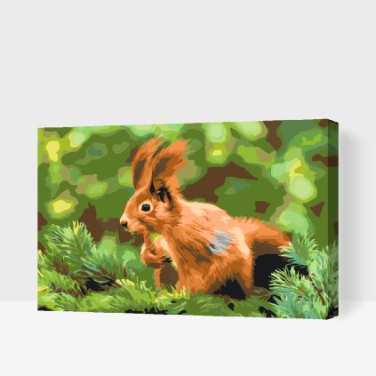 Paint by Number - Squirrel on a Branch