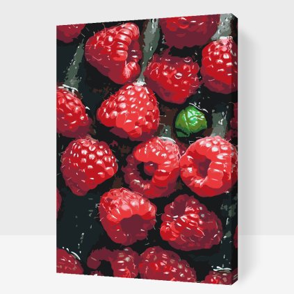 Malování podle čísel - Šťavnaté maliny