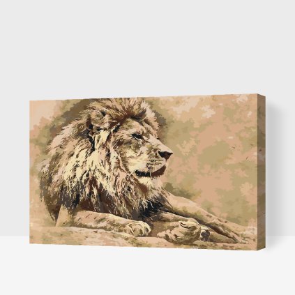 Paint by Number - Lion 2