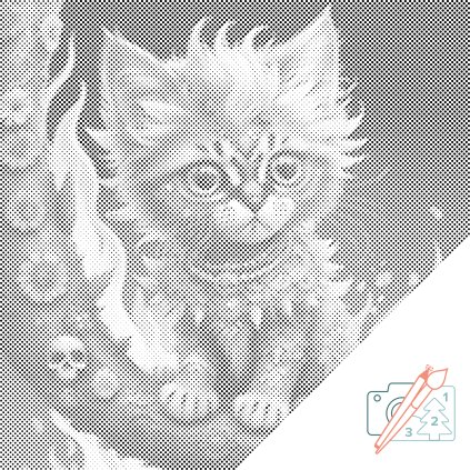 Tečkování - Šamanské kotě