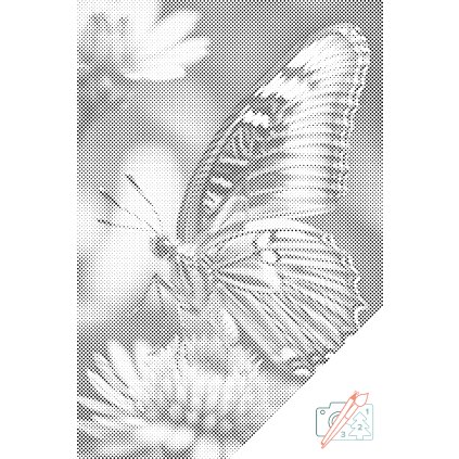 Tečkování - Motýl na květině