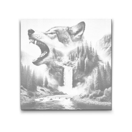 M2_Dotting_Points_-_Wolf_waterfall