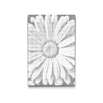 M2_Dotting_Points_-_Daisy_flower