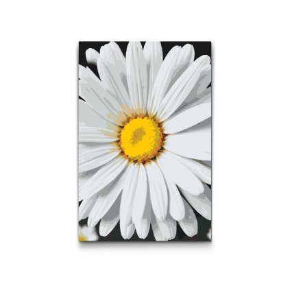 M2_Painting_by_Numbers_-_Daisy_flower