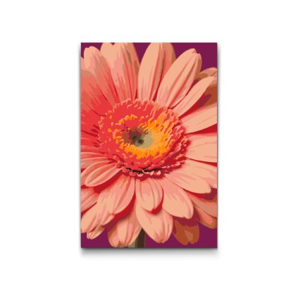 M2_Painting_by_Numbers_-_Gerbera_flower