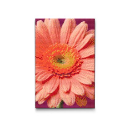 M2_Diamond_Paintings_-_Gerbera_flower