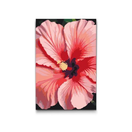 M2_Painting_by_Numbers_-_Hibiscus_flower