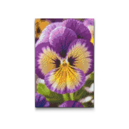 M2_Diamond_Paintings_-_Pansy_flower