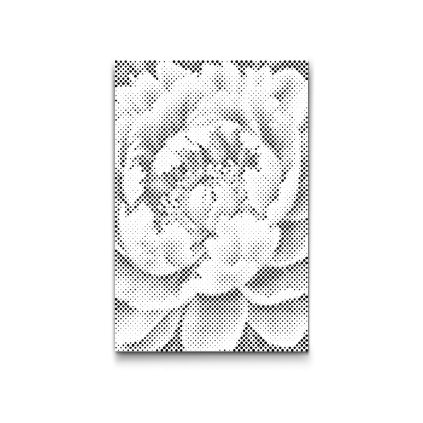 M2_Dotting_Points_-_Peony_flower