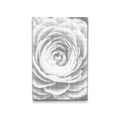 M2_Dotting_Points_-_Buttercup_flower