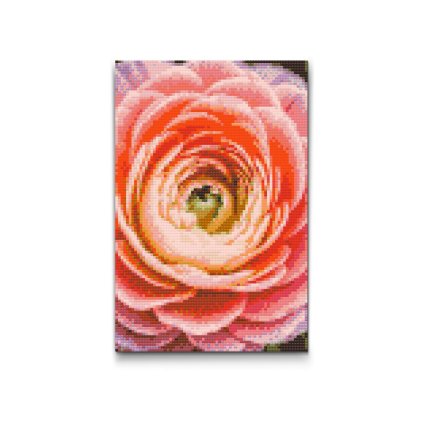 M2_Diamond_Paintings_-_Buttercup_flower