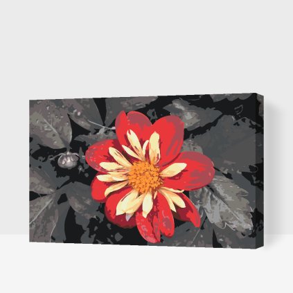 Paint by Number - Red Flower