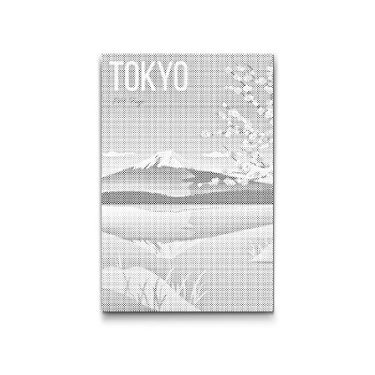M2_Dotting_Points_-_Tokyo,_Japan