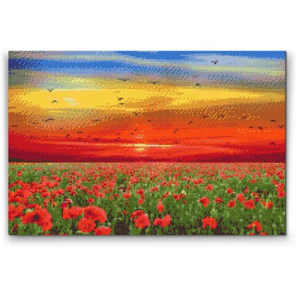 Diamond Painting - Poppy Field at Sunset