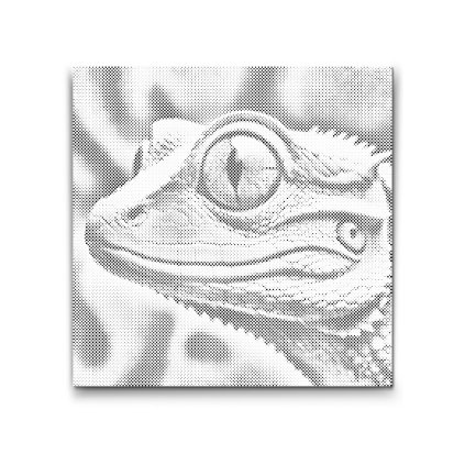 M2_Dotting_Points_-_Lizard_in_shades_of_pink
