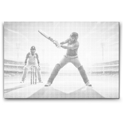 M2_Dotting_Points_-_Cricket