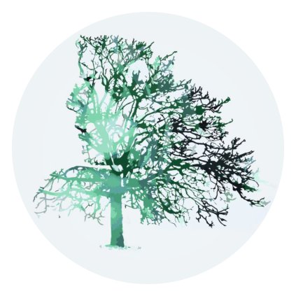 Paint by Number - Tree Woman