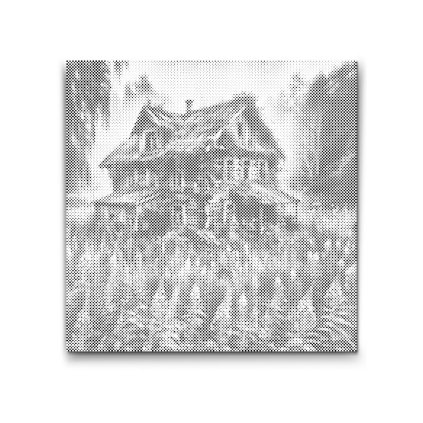 M2_Dotting_Points_-_Abandoned_house_in_the_forest