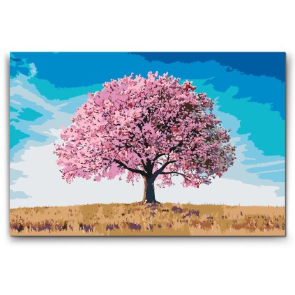 M2_Painting_by_Numbers_-_Blooming_beauty